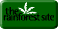 rainforestsite